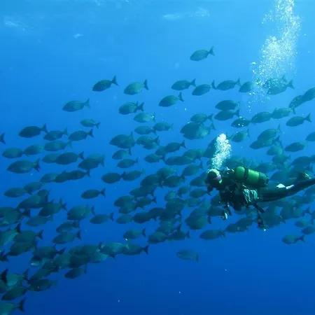 Apartman En Un Bajo 2 Camas Individual Casa Compartida *